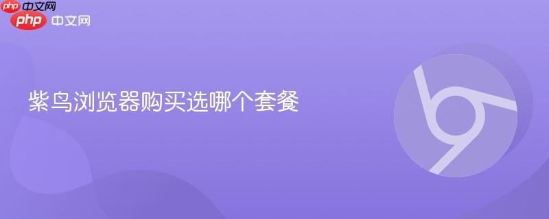 紫鸟浏览器购买选哪个套餐