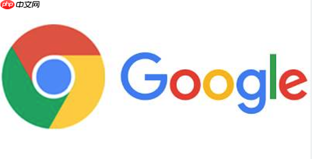 谷歌浏览器启动后显示空白怎么办 Google Chrome缓存与配置优化