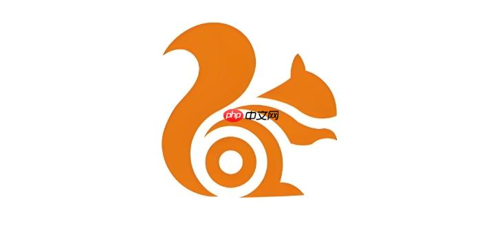 UC浏览器网页内容不显示怎么办 UC浏览器页面渲染优化