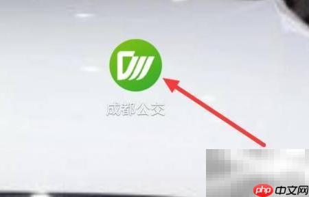 成都公交发票查询指南