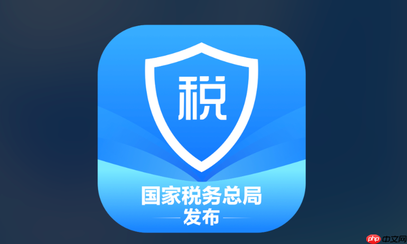 个人所得税登录入口 个人所得税官方登录入口