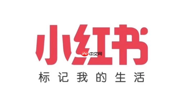 小红书在线观看网页版 小红书网页版浏览入口