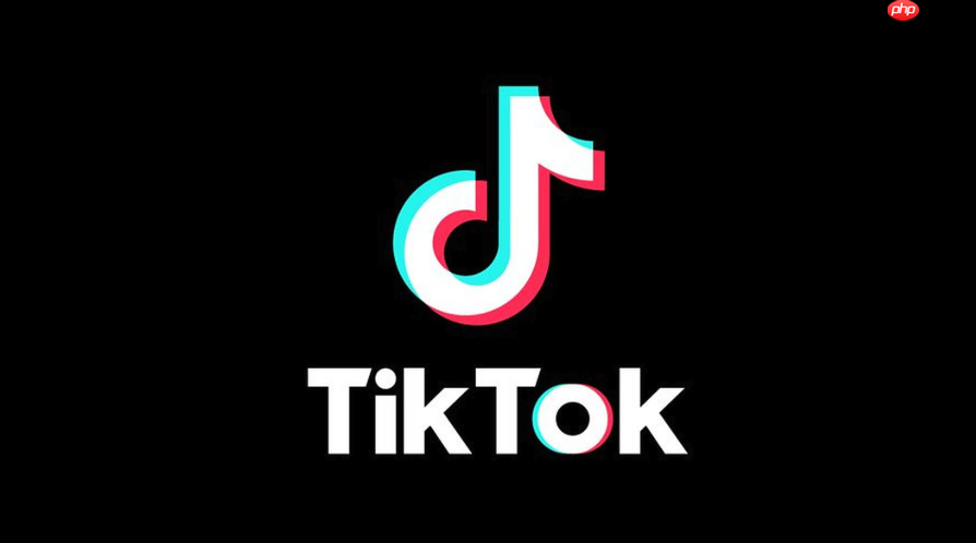 海外TikTok官网入口地址_海外TikTok官网入口地址进入在线观看
