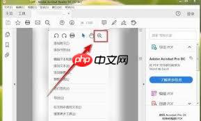 Adobe Reader XI如何放大选中内容