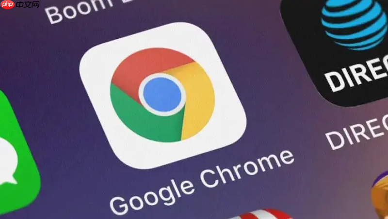 google浏览器拓展程序安装_谷歌Chrome浏览器扩展插件添加教程