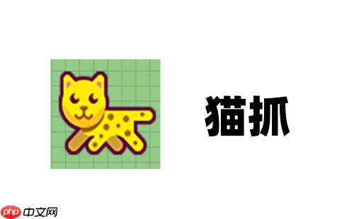 猫抓怎么抓取视频？猫抓抓取视频的操作步骤