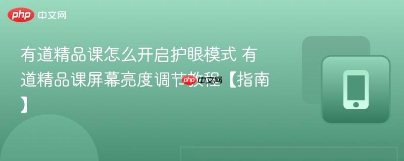有道精品课怎么开启护眼模式 有道精品课屏幕亮度调节教程【指南】