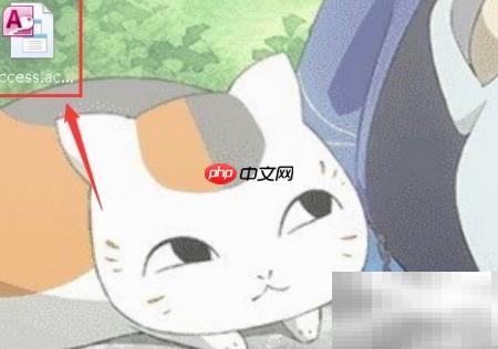 Access文本框控件来源设置方法