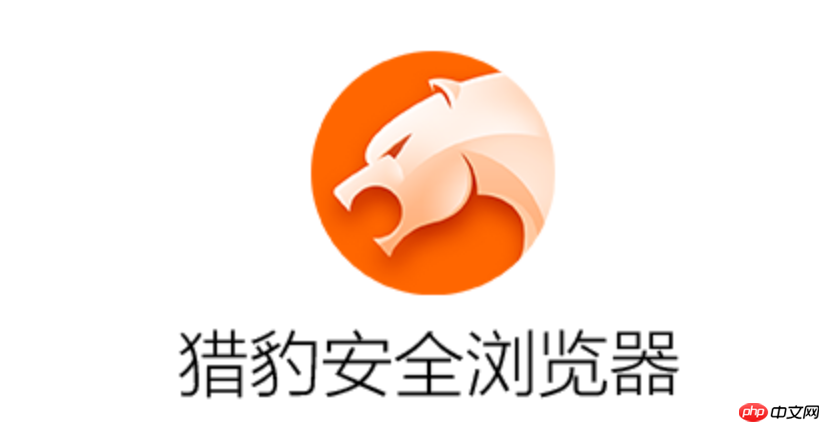 猎豹浏览器如何使用翻译功能_猎豹浏览器翻译功能使用策略