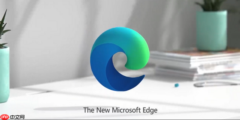 如何解决Edge浏览器安装扩展插件时提示“程序包无效”的问题？