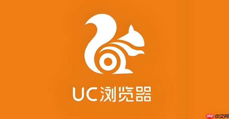 UC浏览器网页版为什么无法开启官方支持提交