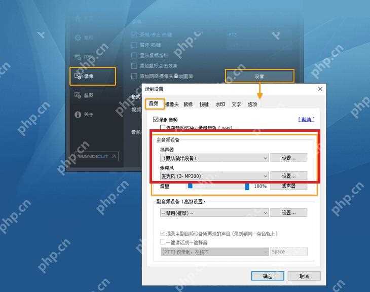Bandicam怎么开启麦克风录音